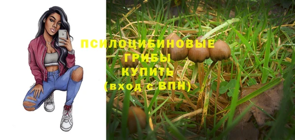 соль ск Нязепетровск