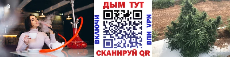 Канабис индика Николаевск